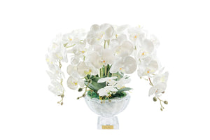 Cote Noie Tall White Orchids