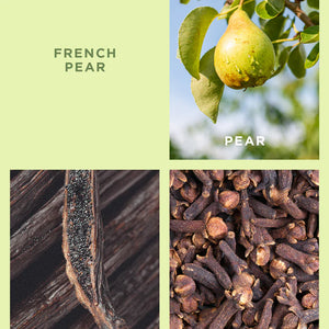 Ecoya French Pear Mini Diffuser