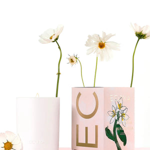 Ecoya Mothers Day Madison Citrus Blossom & Magnolia