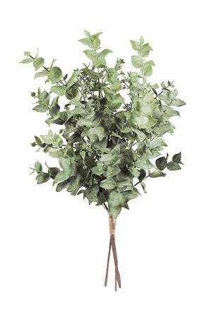 Eucalyptus Bundle GR339