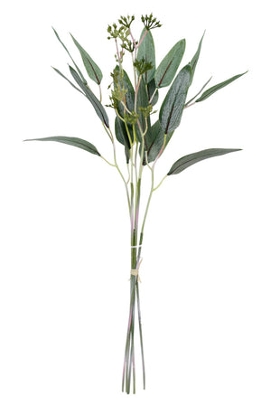 Eucalyptus Bundle 50cm GR894