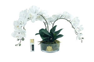 Cote Noire Oval Orchid White