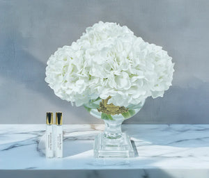 Cote Noire Provence Hydrangeas Medium White