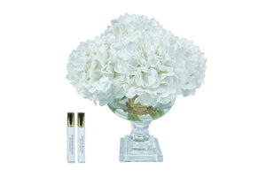 Cote Noire Provence Hydrangeas Medium White