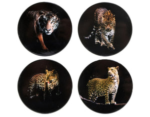 Coasters Leopard & Tiger Coaster Set