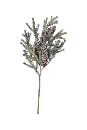 Frosted Alpine Fir With Cones
