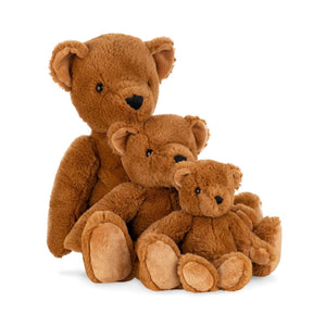 Theodore Teddy - Medium
