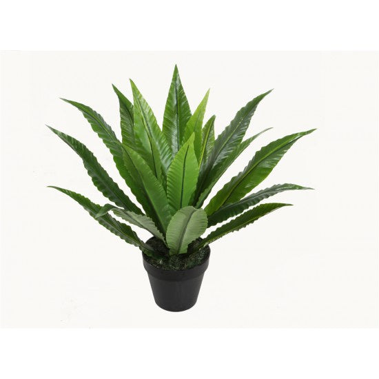 
            
                Load image into Gallery viewer, Birds Nest Fern Artificial Plant 50cm
            
        