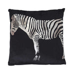 Black & Silver Velvet Zebra Cushion - Diamonds on Seddon Store