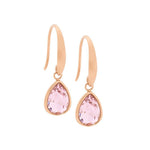 Ellani Stainless Plated Earrings - Diamonds on Seddon Store