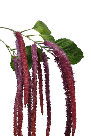 Amaranthus Spray Burgundy